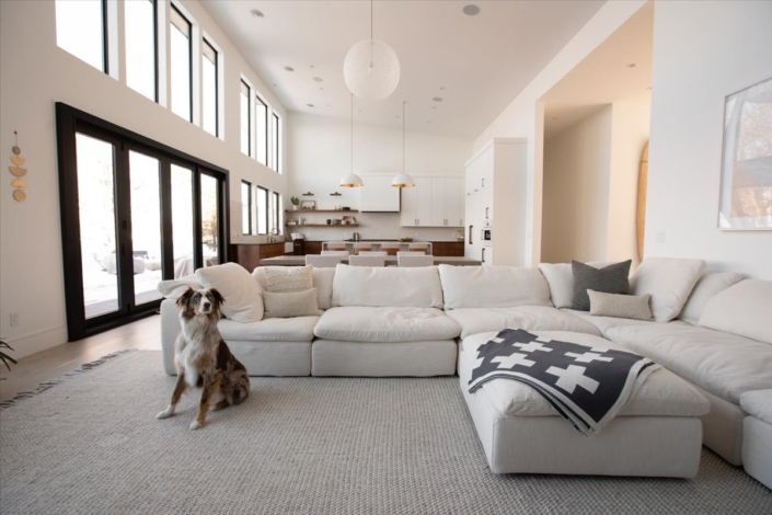 Cloud white sofa with view into kitchen. gray plus print throw and dog