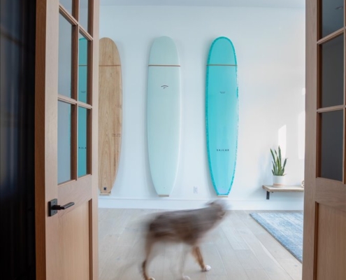 Surf boards on wall with floating shelf and plant. Blurry dog in front