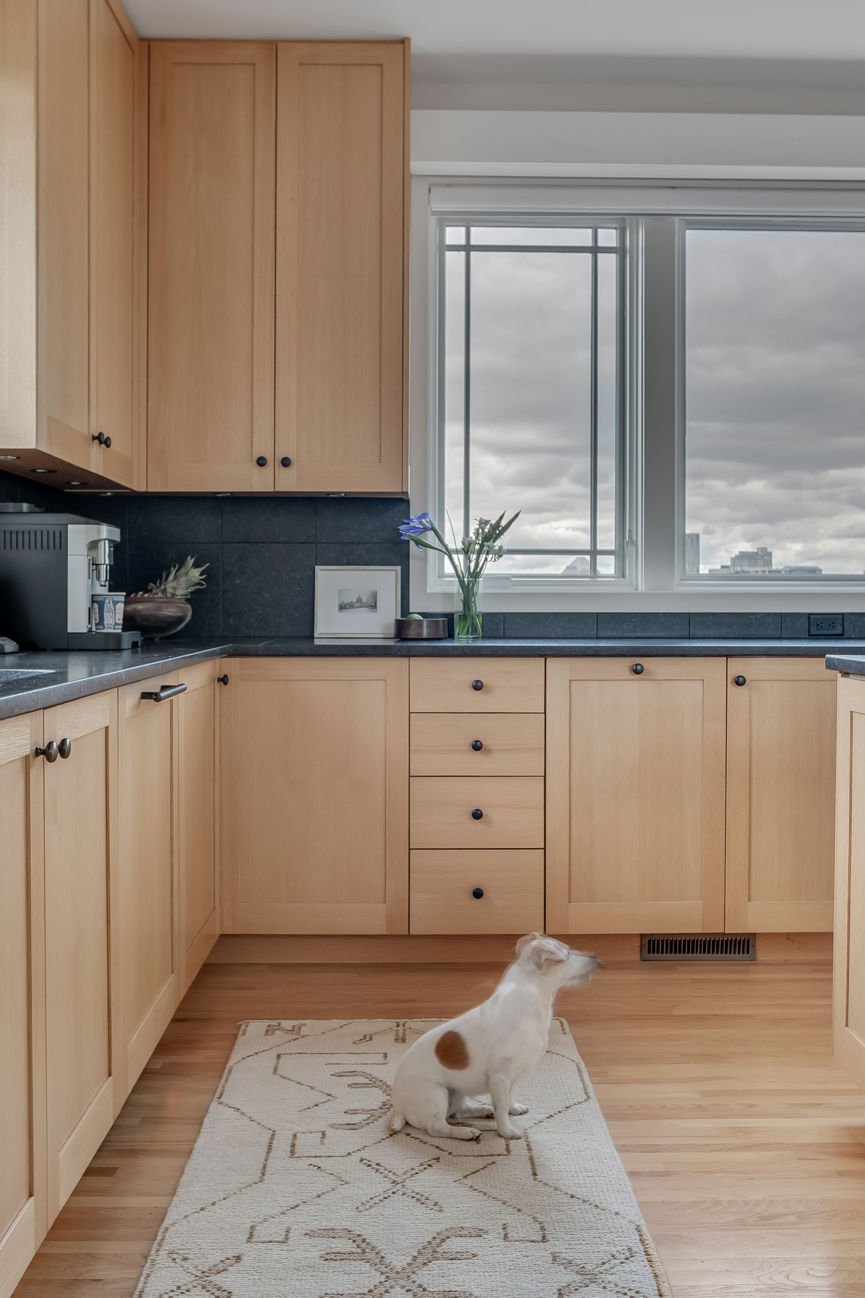 Kitchen with dog and rug