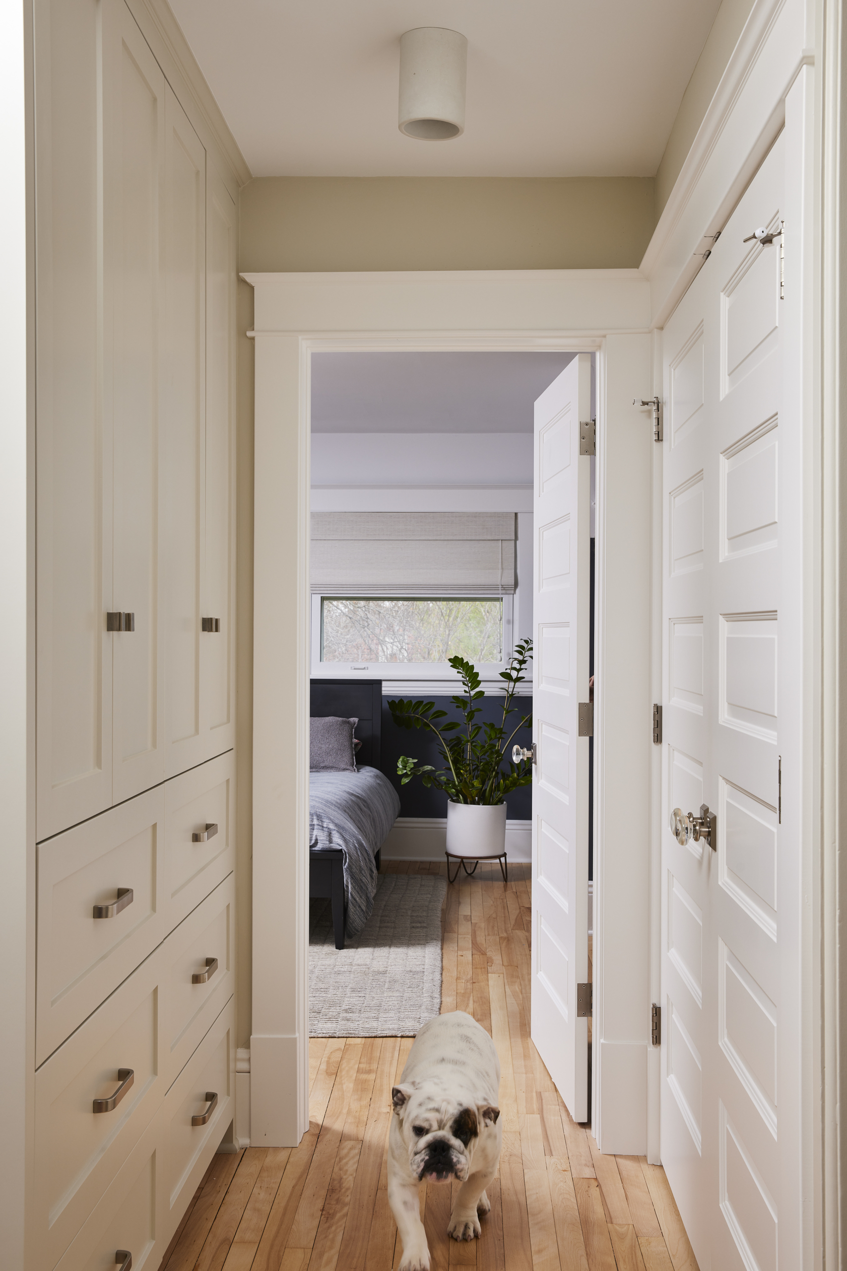 hallway view into bedroom